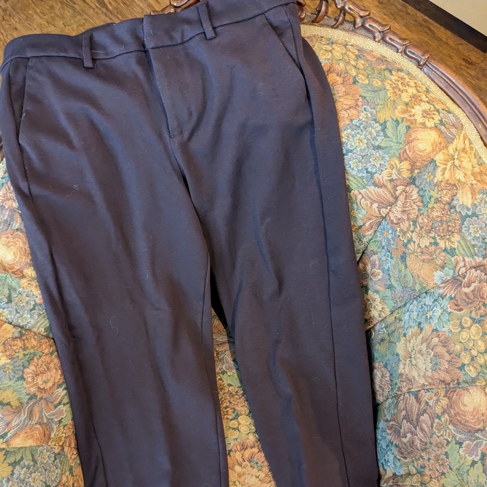 Merlot Dress Ankle Pants